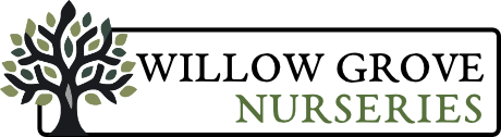 Logo of Acorn Tree Nurseries featuring a stylized tree with green leaves on the left and the text "Acorn Tree Nurseries" in black and green to the right.